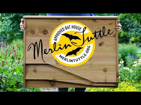 BatBnb receives Merlin Tuttle's seal of approval!
