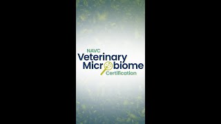 Boost Patient Care with #Microbiome Science! 🦠🐾 | #Vet Certification