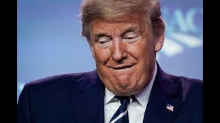 Learn HTML and CSS By making a Donald Trump Tribute Page