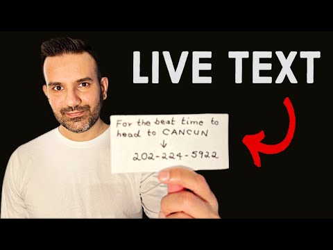 How to use Live Text on your phone in 2 minutes!