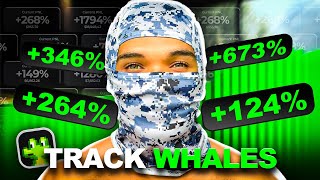 How to Track Top Holders Wallets On GMGN (Step-by-Step Tutorial)