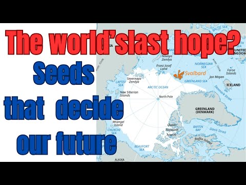 👇ClickEasy4All: The Secret Vault That Could Save Humanity 🌍