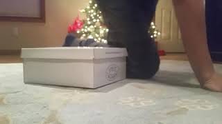 Iphone x scam (part 2)