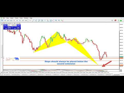 Gold Bfly 1 min No 24 T2