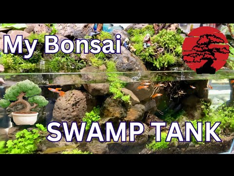 My Bonsai Swamp - NEW Tank Build !