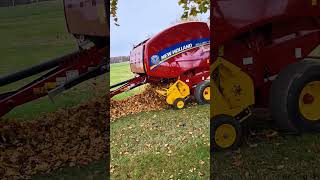 Making leaf bales for my Wife! #farming #newholland #leaves #farm #farmer #agriculture #tractor