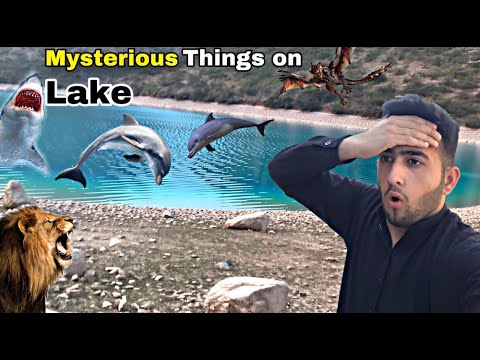 Exploring Terbela Lake & Chakai Park: Unforgettable Fun & Unique Experiences! | #terbelalake