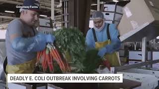 Health leaders still investigating deadly E. coli outbreak from organic carrots