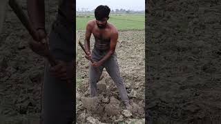 #ytshorts #gym #shorts #trending#trendingshorts #desihustle#youtubeshorts #viral#dailyvlog #farming