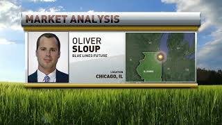 Lean Hog Futures Selling Off! | Scott The Cow Guy | Oliver Sloup | Blue Line Futures