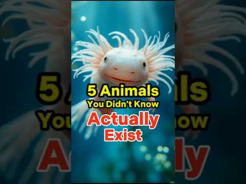 5 Weirdest Animals You Never Knew Existed #shortvideo #shorts #short #facts #worldfacts #mystery