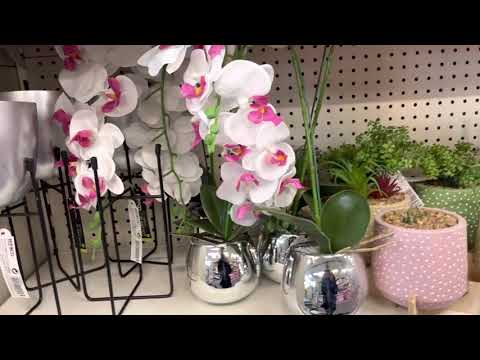 What’s New in Poundland!! Home decor