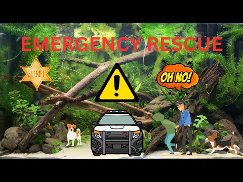 EMERGENCY RESCUE of ... The RESCUE !?!?!?!