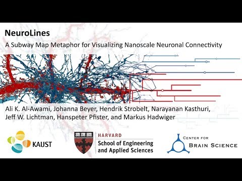 NeuroLines: A Subway Map Metaphor for Visualizing Nanoscale Neuronal Connectivity