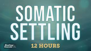 Somatic Settling 🌿 | For When the Body Won’t Fully Let Go | Black Screen