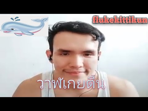 วาฬเกยตื้น  flukekittikun