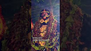 Farewell to the Divine — Kali Puja Visarjan 2025 🖤🔥