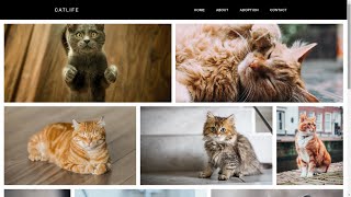 Navbar and gallery with flexbox