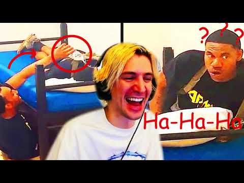 xQc Reacts to Daily Dose of Internet! | xQc Abridged