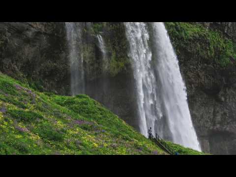 Peaceful Journey by Lenox Mayes Jr -   Kalimba Master