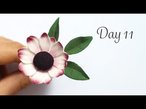 Daisy | Day 11 | 30 Days of Sugar Flowers