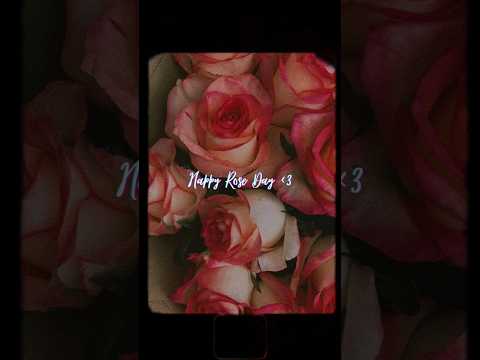 Happy Rose day 🌹❤️🥰