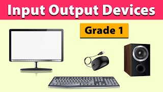 Input Output Devices | Grade 1
