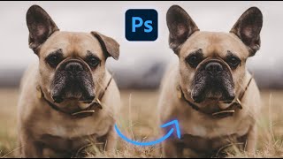 Clone Source - Short Photoshop Tutorial
