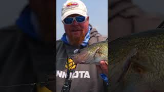 Drop-Shottin' WALLEYES with Brian "Bro" Brosdahl!