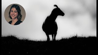 Microbial community dynamics and disease: from within-host to global scales