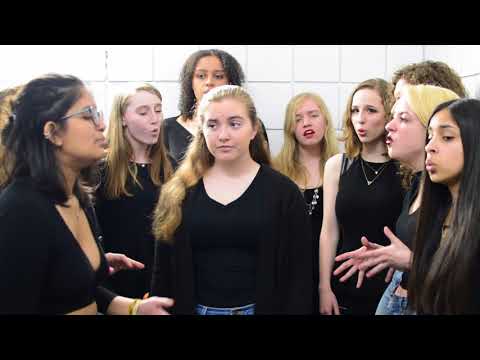 The Lion The Beast The Beat (opb. Grace Potter & The Nocturnals) - Pitch, Please!