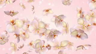 Flower background