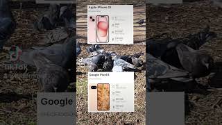 Apple iPhone 15 vs. Google Pixel 8