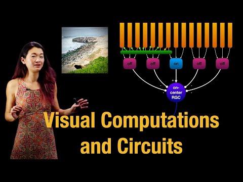 Visual Computations and Circuits | Receptive Fields | Sparse Coding Hypothesis