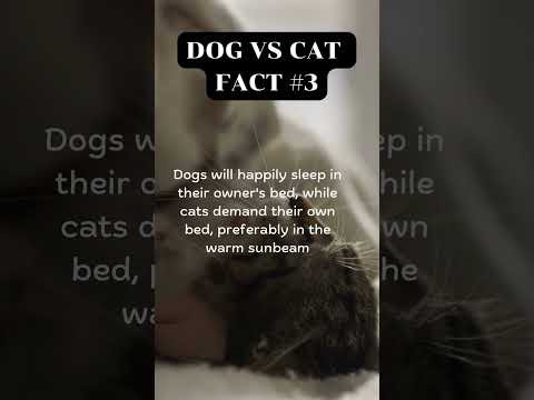 DOG VS CAT FACT #3