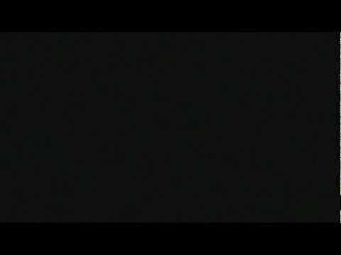 Polly and the camcorder.wmv