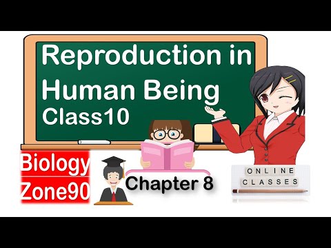 Reproduction in Human| Reproduction in Organisms| chapter 8| class 10