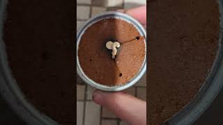 The best part about sand casting is opening the mold!