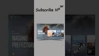Website Using HTML CSS and JavaScript| UX UI Design for Beginners