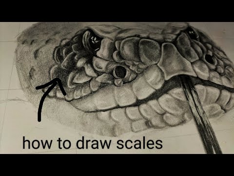 How to draw scales - Anyone can do this (super easy)