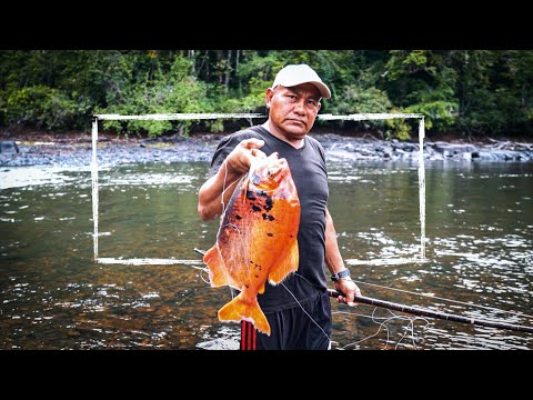 Hunting Giant RED PACU with Bow in Guyana | Jungle Stories part 3