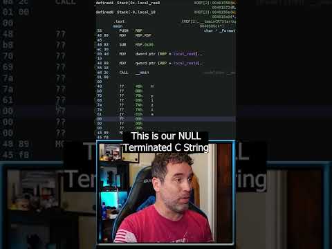 Finding Pizza in Hex! 🍕  #code #crackme