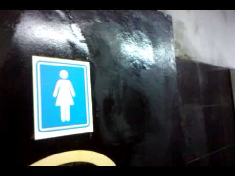 Los viajes de No Self - Baños