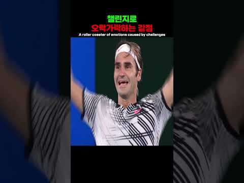 조회수 찢은 테니스 쇼츠 TOP 15 모음