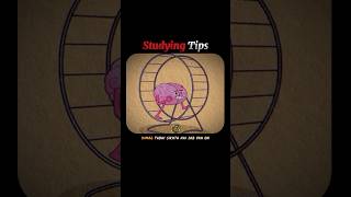 🧠 3 brain hacks to study faster 🚀📖#brainhacks #studytricks