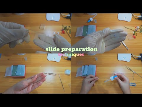 slide preparation techniques 🍃 for bot1101L!