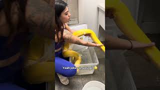 Who won? 🤣 #reptiles #snakes #reticulatedpython #bigsnake #stuckshed #funny #fail #animals