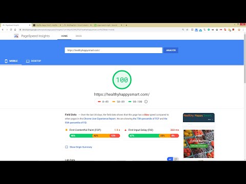 100/100 Page Speed Insight scam results exposed