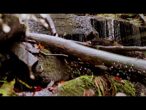 Water Flowing Relaxing Meditation calm music #sleep #Relaxation #nature #relaxing
