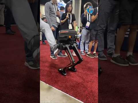 "TROOPR🤖: The Robot You Can’t Knock Over!"😸#facts #shorts#amazingfacts #china #japan